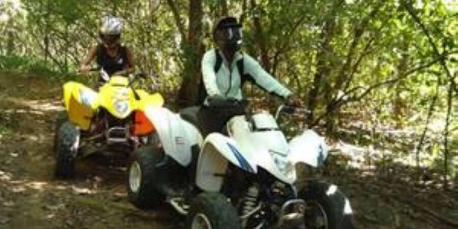 Hazyview: Guided Macadamia Plantation and Forest Quad Safari - Refreshments included: the quiet value add