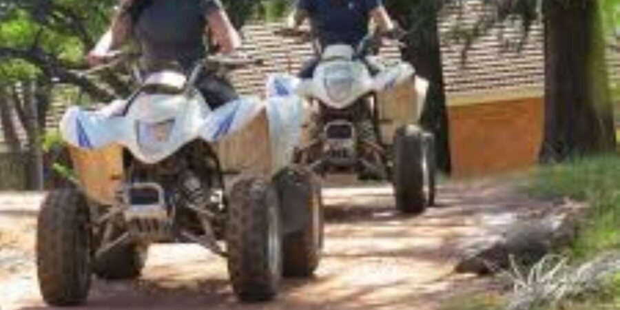 Hazyview: Guided Macadamia Plantation and Forest Quad Safari - Price and value: is $48 fair for an hour?