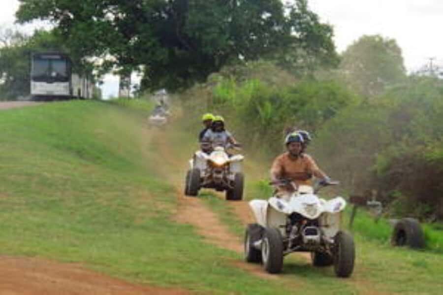Hazyview: Guided Macadamia Plantation and Forest Quad Safari - Starting at Extreme Adventure Camp in Hazyview
