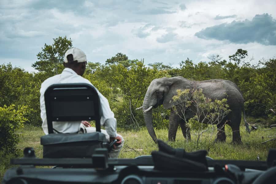 Hazyview: Kruger National Park Full-Day Safari - From Hazyview to Kruger: what a full-day drive really means