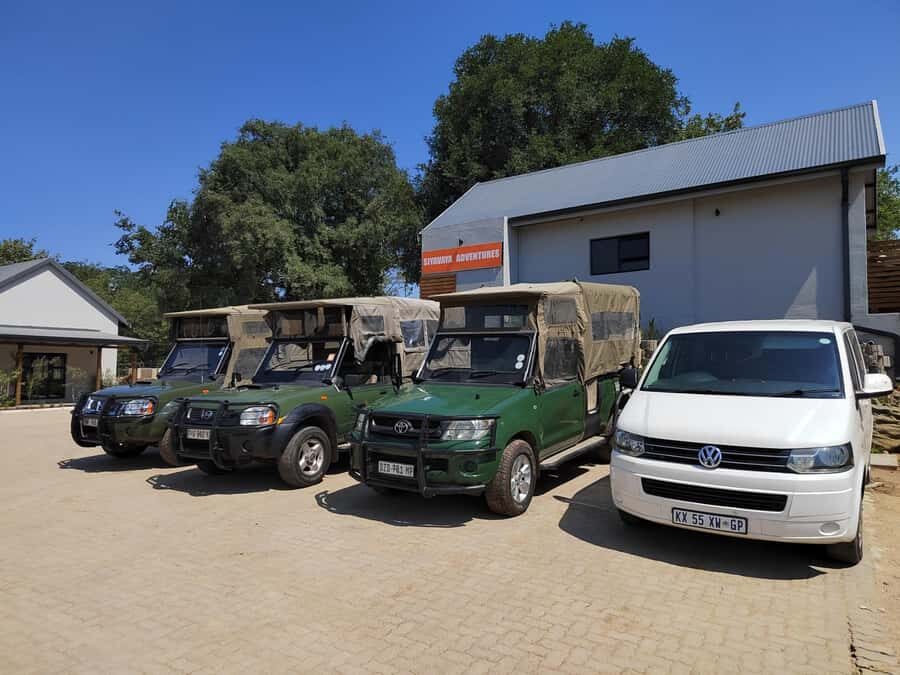 Hazyview: Kruger National Park Full-Day Safari - Logistics that can make or break your day: pickup timing and meals