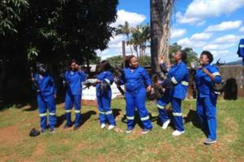 Hazyview : Paintball Target Shooting - Challenges and Technical Practice: Fun With a Purpose