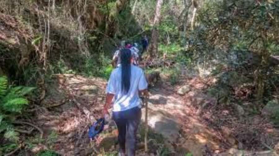 Hazyview : Sabie River Hiking Trail 12km - The early river stretch: trees, streams, and those quiet pauses