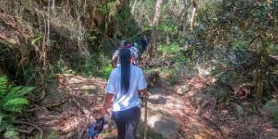 Hazyview : Sabie River Hiking Trail 12km - Mid-trail reality on the 12km: when it shifts to scrambling