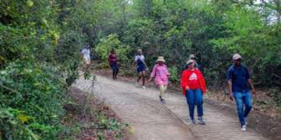 Hazyview : Sabie River Hiking Trail 12km - Cascade Waterfall: the second payoff (and how to enjoy it)
