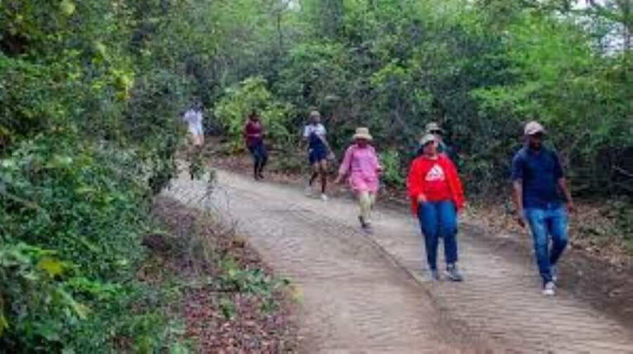 Hazyview : Sabie River Hiking Trail 12km - Starting at Extreme Adventure Camp: where your hike begins