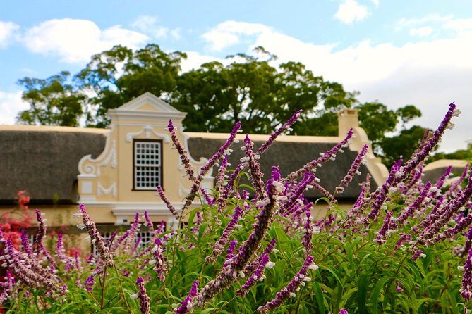 Helderberg Valley Winelands Day Tour with Private Transfer - Price and value: what you’re paying for in plain terms