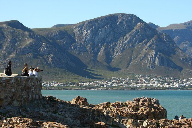 Hermanus Land based Whale Tour with Dave de Beer - Hermanus’ cliffs: the smart way to watch southern right whales