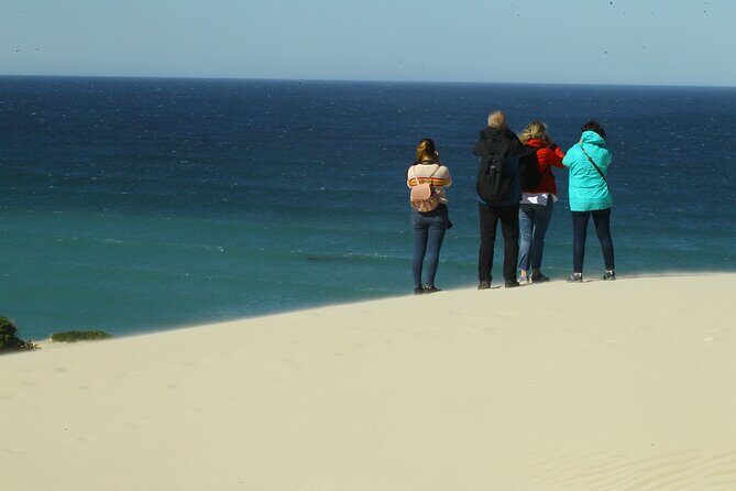 Hermanus Land based Whale Tour with Dave de Beer - What makes it a private tour worth paying for