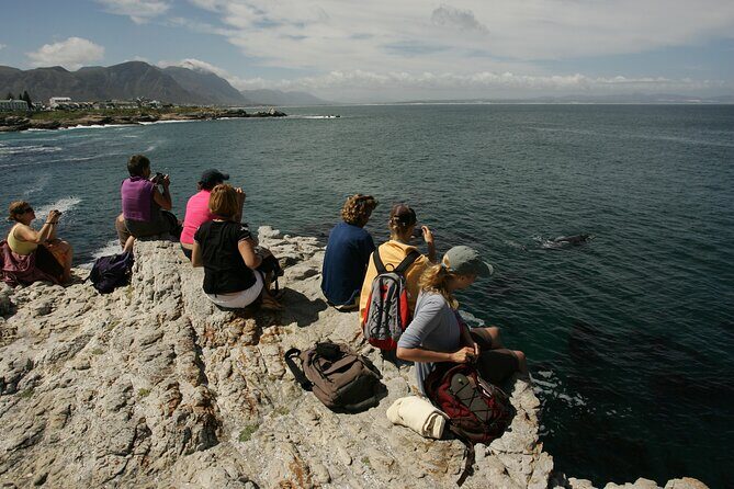 Hermanus Land based Whale Tour with Dave de Beer - The 15-metre cliff path at Walker Bay: where the spotting happens