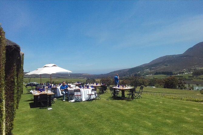 Hermanus Whale Coast Wine Tour (Cape To Grape Wine Tours) - Quick hits before you go