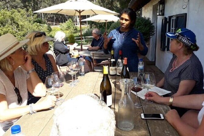 Hermanus Whale Coast Wine Tour (Cape To Grape Wine Tours) - Price and value: is $150.95 worth it?