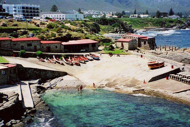 Hermanus Whale Coast Wine Tour (Cape To Grape Wine Tours) - Transport and timing: no-car convenience with a set plan