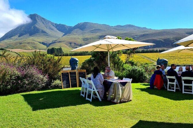 Hermanus Whale Watching and Wine Tasting Private Tour - Creation Wines in Hemel-en-Aarde: Wine Tasting Costs Extra