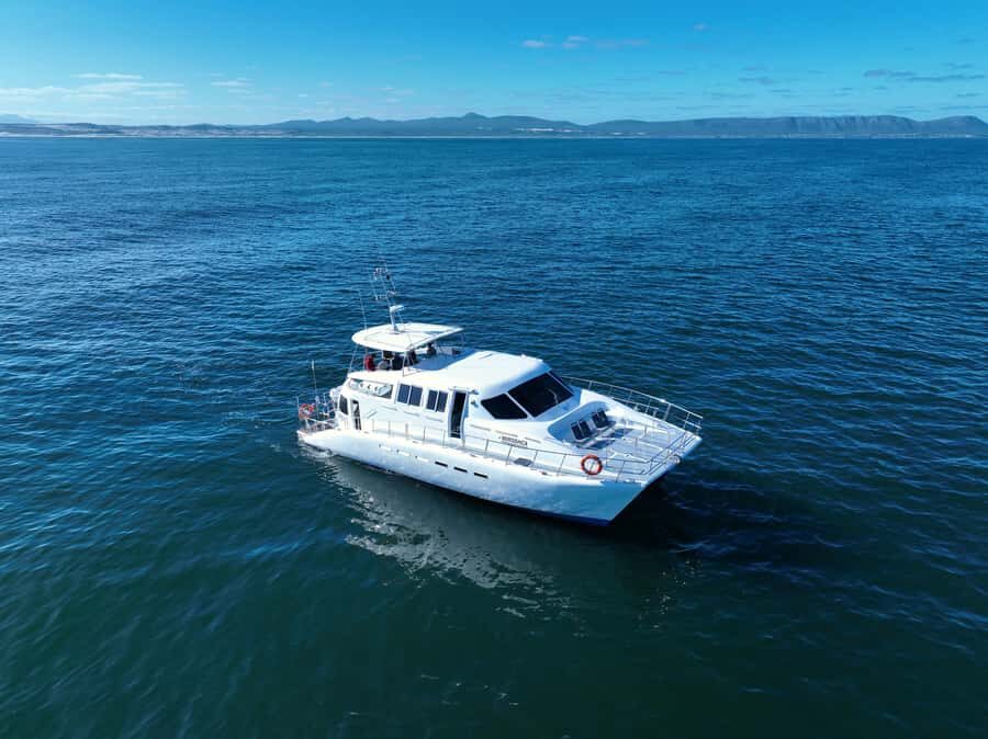 Hermanus: Whale Watching and Wine Testing - Private pickup and a calmer schedule from your hotel
