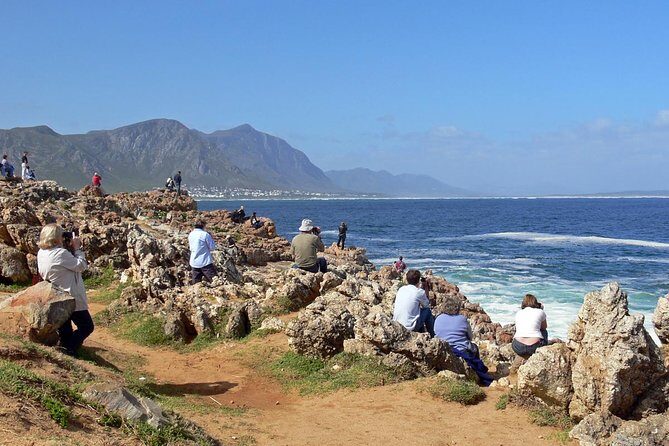 Hermanus Whale Watching Day Trip from Cape Town - Why Hermanus Is the Whale Watching Shortcut