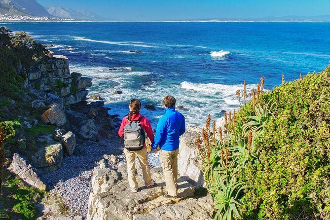 Hermanus Whale Watching Day Trip from Cape Town - The Guide Factor: Why Local Spotting Changes Everything