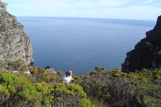 Hike off the beaten track on Table Mountain - Terrain on Table Mountain’s top: reservoirs and fynbos up close