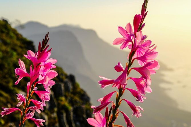 Hike Table Mountain via the India Venster trail - Before you go: fitness and gear that actually matter