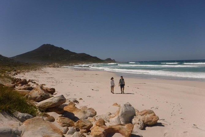 Hiking Cape of Good hope, Cape Point & Penguins Private Full Day - Platboom Beach to Cape Point: The Hiking Section That Does the Work