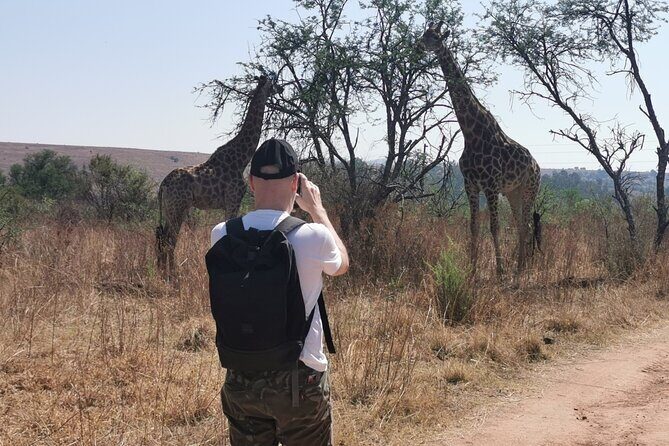 Hiking In the Magaliesberg,Wildlife hike an hour fromJohannesburg - Quick hits before you lace up