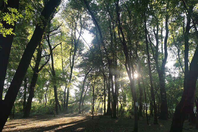 Hiking In the Magaliesberg,Wildlife hike an hour fromJohannesburg - Timing and pace: morning starts plus a flexible plan