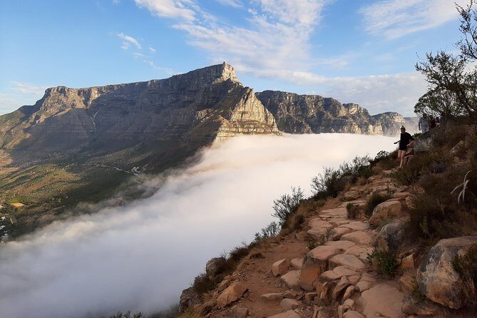 Hiking Lion's Head for sunrise, coffee & hotel Pick-up & Drop off - Summit at 669 m: 360° views and the rock-and-fynbos story