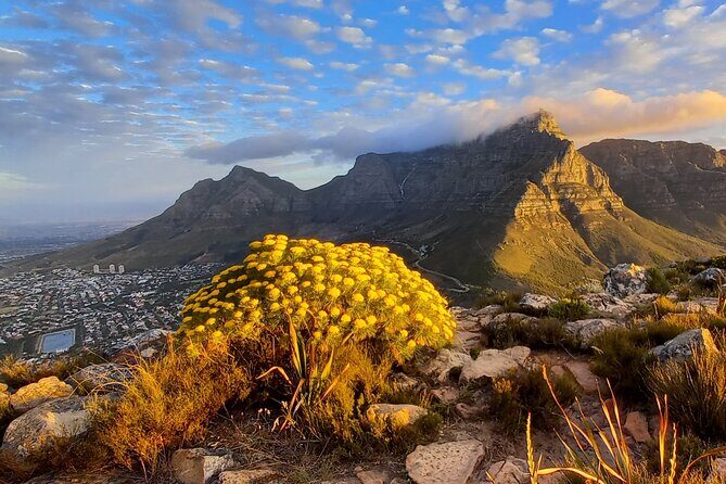 Hiking Lion's Head Sunrise or Sunset - Head Torch, Dark Descent, and Better Photo Timing