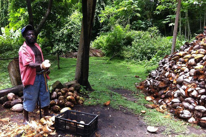 Historical 18th Century Estate Tour with Coconut Tasting - Views and the Estate Flow: How the Route Keeps Moving