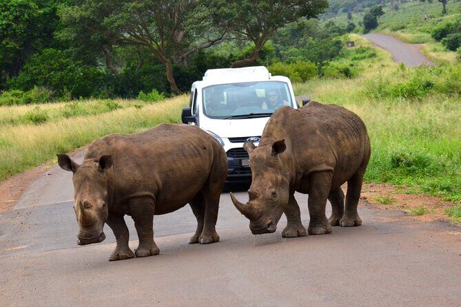 Hluhluwe and Imfolozi Safari Day Tour from Richards Bay - Quick Highlights You’ll Feel Right Away