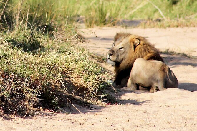 Hluhluwe Game Drive - Half day - Entering Hluhluwe in 4 hours: how the timing really feels