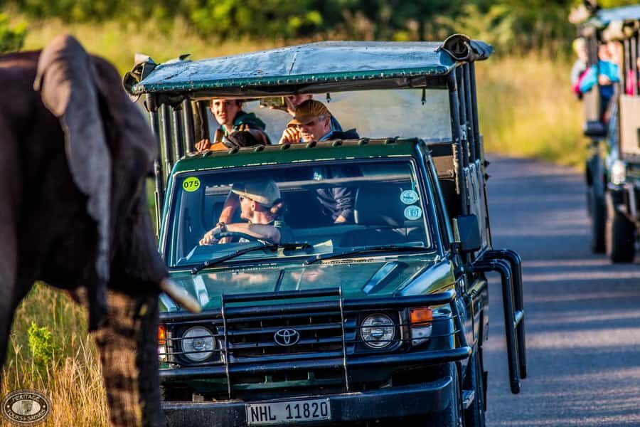 Hluhluwe-Imfolozi: Big 5 Full or Half-Day Safari - Key points I’d put on your shortlist