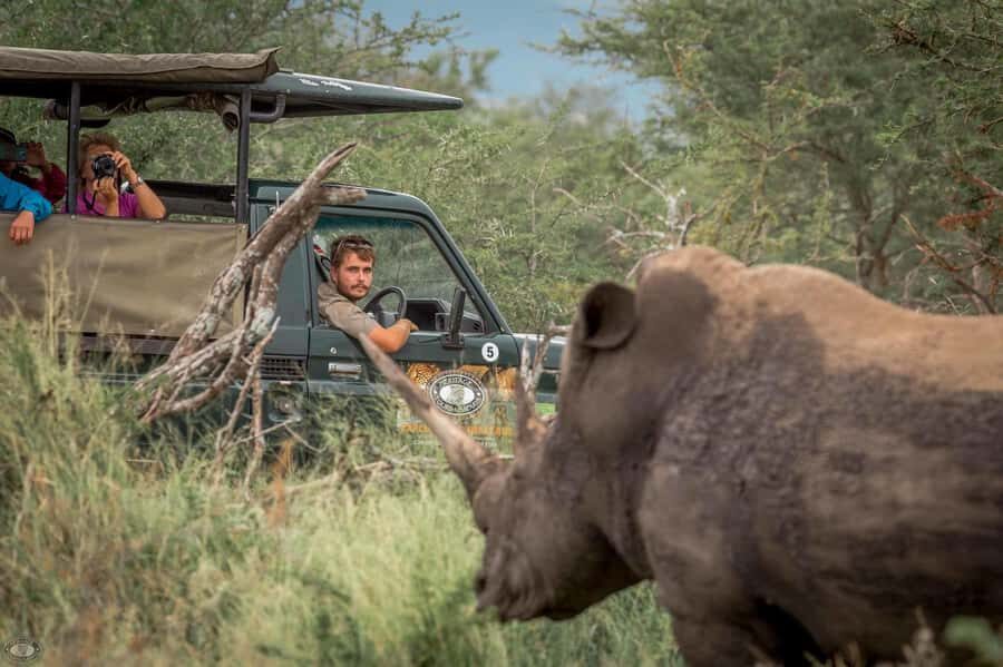 Hluhluwe-Imfolozi: Big 5 Full or Half-Day Safari - Hluhluwe-iMfolozi Big 5 safari in KwaZulu-Natal: what makes it special