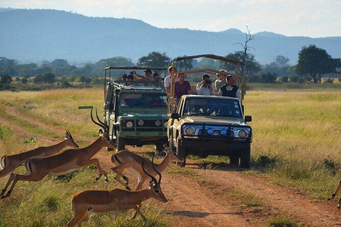 Hluhluwe Imfolozi Game Reserve & Phezulu Safari Park from Durban - Key takeaways before you go