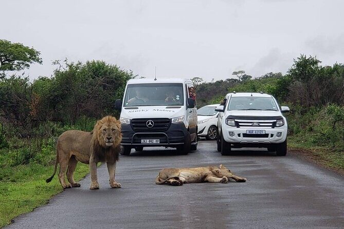Hluhluwe Imfolozi Park And Isimangaliso Wetlands Park .st Lucia - A two-park day from Durban: why this combo works