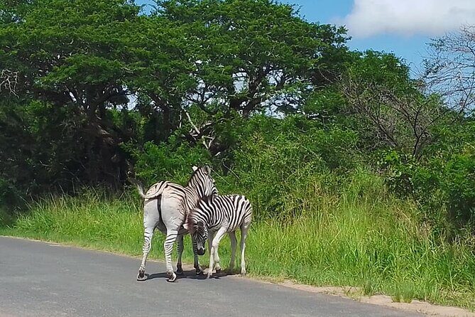 Hluhluwe Imfolozi Park And Isimangaliso Wetlands Park .st Lucia - Switching gears to iSimangaliso: UNESCO wetlands and a short boat ride