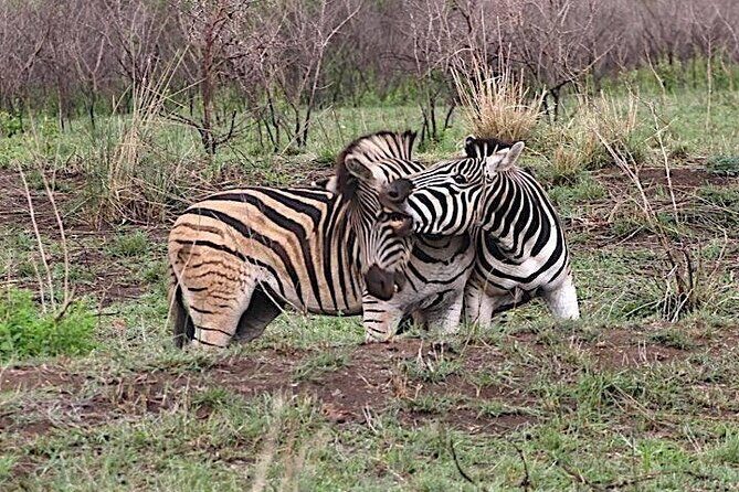 Hluhluwe Imfolozi Park And Isimangaliso Wetlands Park .st Lucia - What the itinerary time really means for you