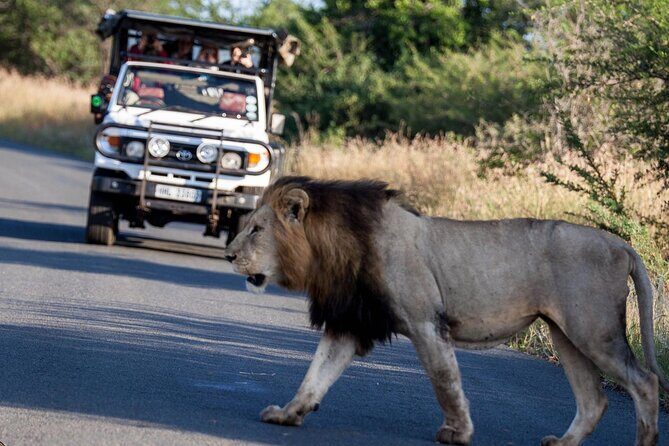 Hluhluwe-Imfolozi Park Half-day Big Five Safari Adventure - Weather, Clothing, and Simple Tips for Better Sightings