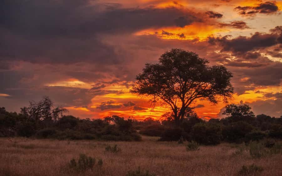 Hluhluwe-iMfolozi Park - Open Safari Vehicle Game Drives - Key Things I’d Focus on Before You Go