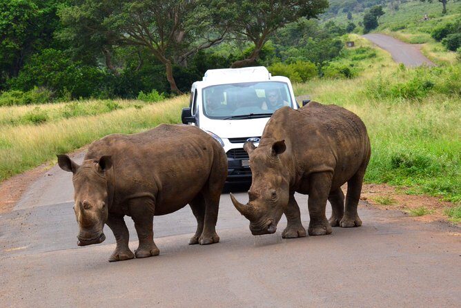 Hluhluwe Imfolozi Safari & St Lucia Boat Safari Day Tour from Durban - The pacing problem: 12 to 14 hours is real