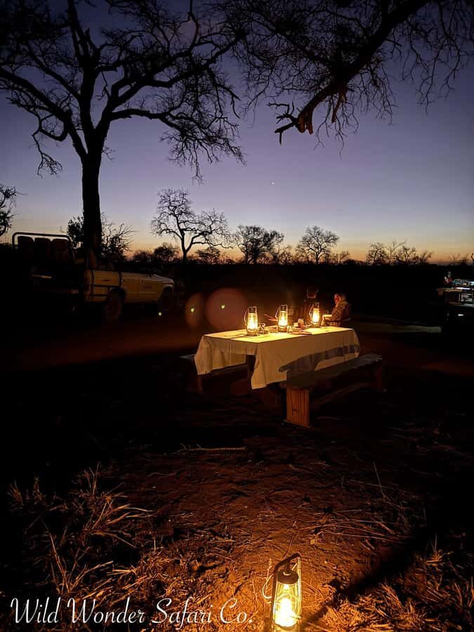 Hoedspruit: Dinner in the Bush & Safari Game Drive - Key Things I’d Put on Your Radar