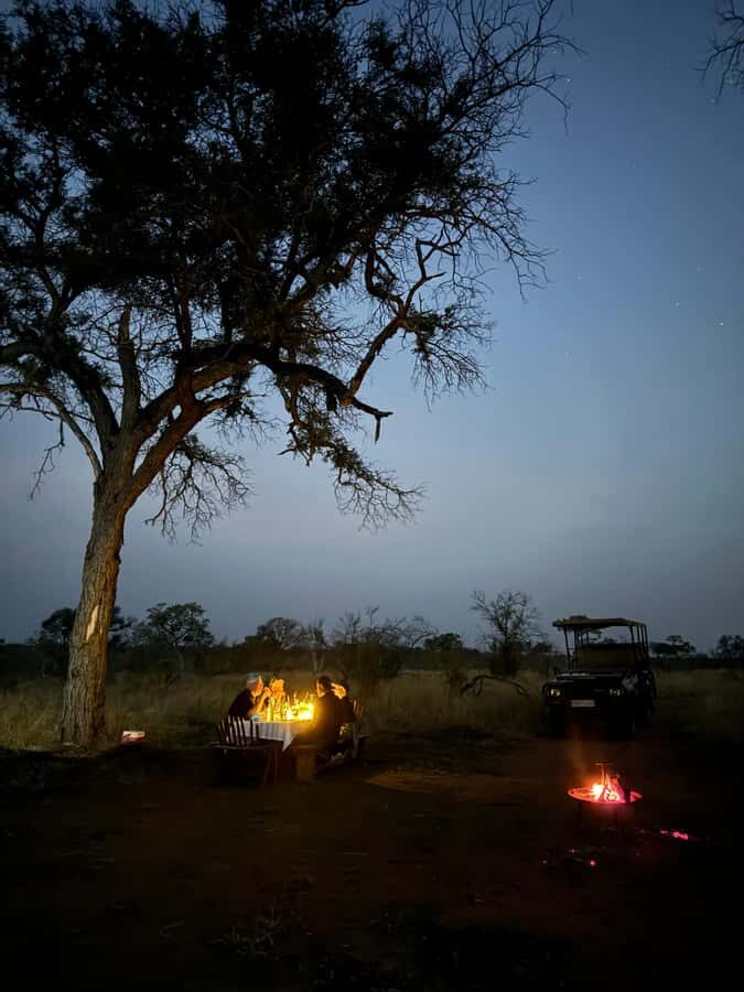 Hoedspruit: Dinner in the Bush & Safari Game Drive - Logistics That Make This Evening Easier Than You Think