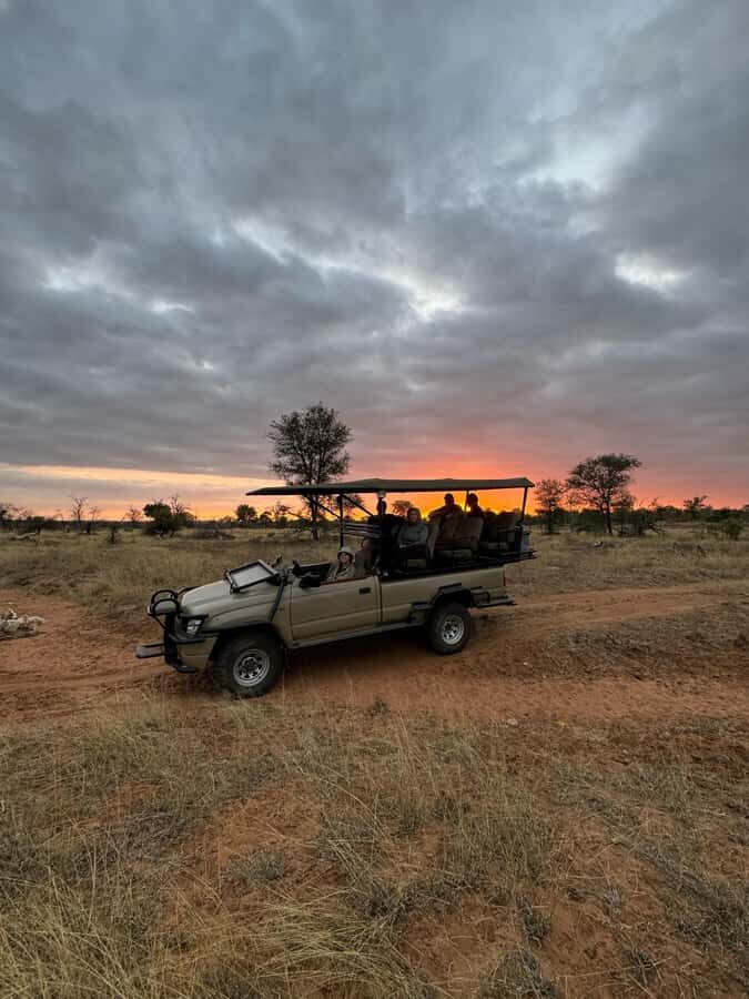 Hoedspruit: Dinner in the Bush & Safari Game Drive - The Game Drive: Timing, Vehicle Style, and Safari Odds