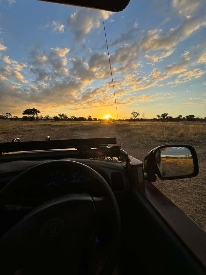 Hoedspruit: Evening Safari In Greater Kruger Private Reserve - Should You Book This Afternoon Safari?