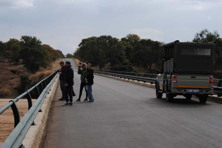 Hoedspruit: Full Day in ICONIC Kruger National Park - Rest Camp Breaks: How to Use the Time Without Losing the Day