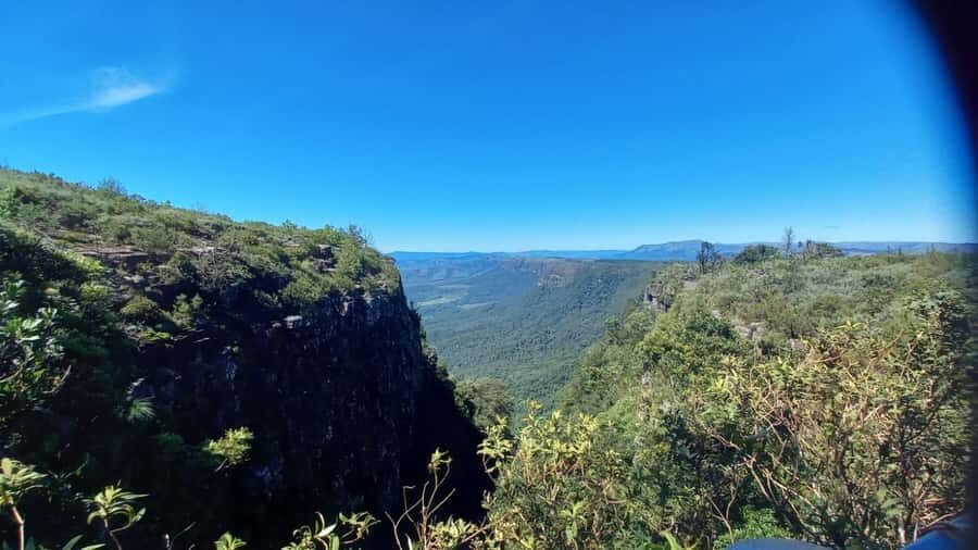 Hoedspruit: Panorama Route Guided Private Tour - God’s Window: The Viewpoint That Feels Like a Whole Other World