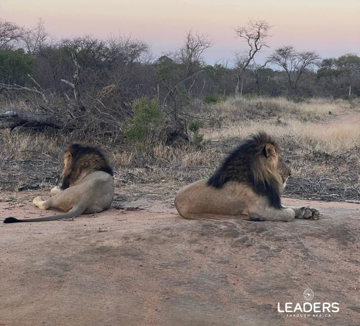 Hoedspruit: Private Kruger National Park Full-Day Safari - If it rains, don’t panic: how to handle the open-vehicle reality