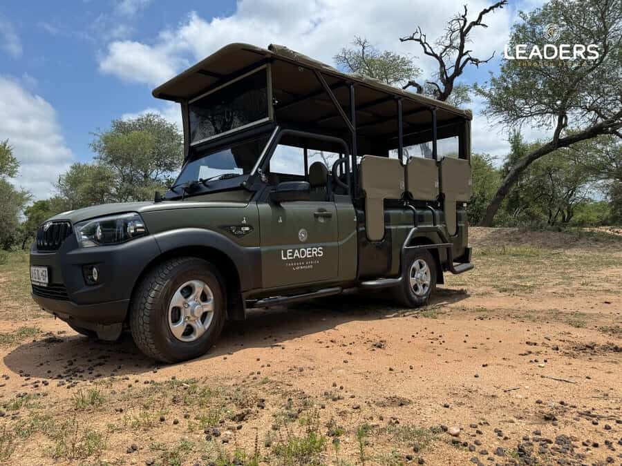 Hoedspruit: Private Kruger National Park Full-Day Safari - Wildlife goals in Kruger: Big Five chances and the “more than that” moments