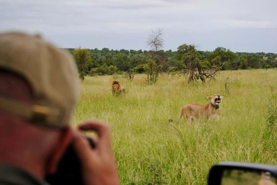 Hoedspruit: Sunrise Safari in Greater Kruger Private Reserve - Private Reserve Close to Hoedspruit: getting away fast