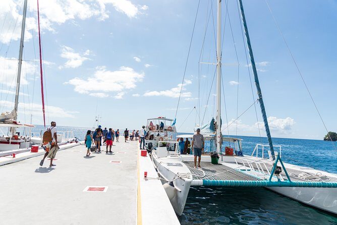 Hop & Drop Soufriere Transfer - Price and Value: Is $88 Worth It?